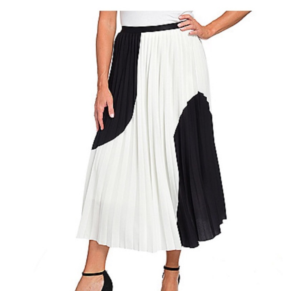 NWOT Never Worn Pleated Skirt